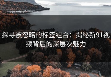 探寻被忽略的标签组合：揭秘新91视频背后的深层次魅力